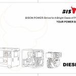 bison diesel generator