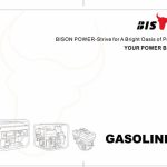 bison gasoline generator 2