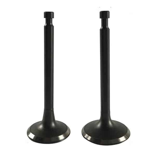 Intake and exhaust valve display-2