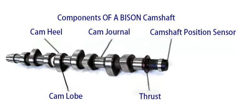 components of a bison camshaft